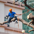 Tree Trimming In Leander: The Underrated Real Estate Marketing Strategy That Works
