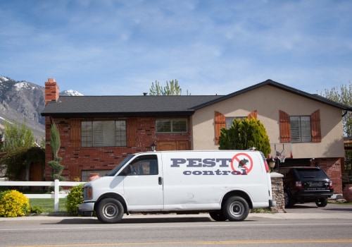 Buzz-Worthy Tips For Wasp Control In Calgary: Essential For Real Estate Marketing Success
