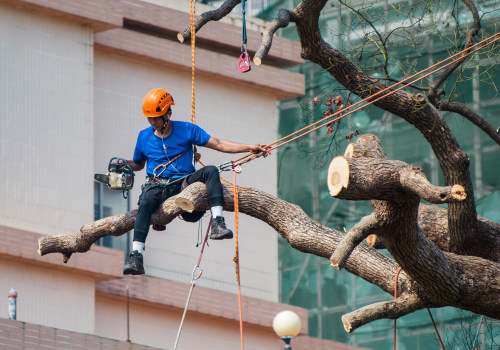 Tree Trimming In Leander: The Underrated Real Estate Marketing Strategy That Works